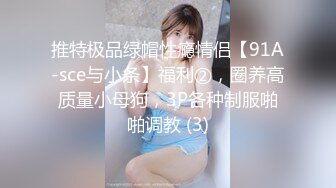 推特极品绿帽性瘾情侣【91A-sce与小条】福利②，圈养高质量小母狗，3P各种制服啪啪调教 (3)