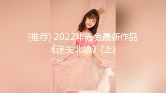 [推荐] 2022年赤兔最新作品《迷失北境》(上) 