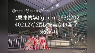 (果凍傳媒)(gdcm-063)(20240212)完蛋我被美女包圍了-宋南伊