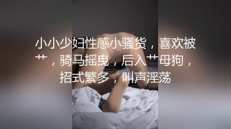 小小少妇性感小骚货，喜欢被艹，骑马摇曳，后入艹母狗，招式繁多，叫声淫荡