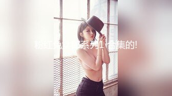 粉红兔女郎系列1 合集的!