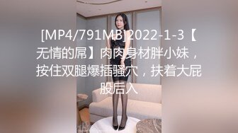 [MP4/791MB]2022-1-3【无情的屌】肉肉身材胖小妹，按住双腿爆插骚穴，扶着大屁股后入