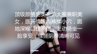 顶级颜值甜美高价大圈兼职美女，拨开情趣内裤揉小穴，跪地深喉口技不错，主动骑坐一脸享受，揉搓阴蒂清晰可见