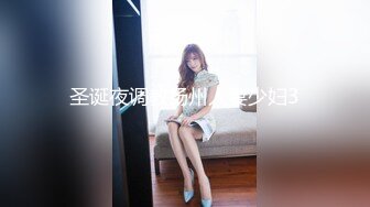 圣诞夜调教扬州人妻少妇3