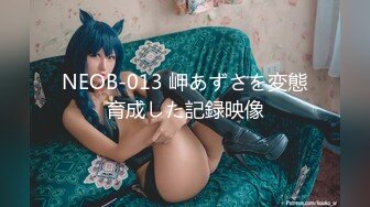 NEOB-013 岬あずさを変態育成した記録映像