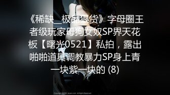 《稀缺__极品狠货》字母圈王者级玩家母狗女奴SP界天花板【曙光0521】私拍，露出啪啪道具调教暴力SP身上青一块紫一块的 (8)