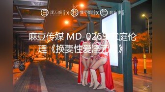 麻豆传媒 MD-0269 家庭伦理《换妻性爱淫元宵》